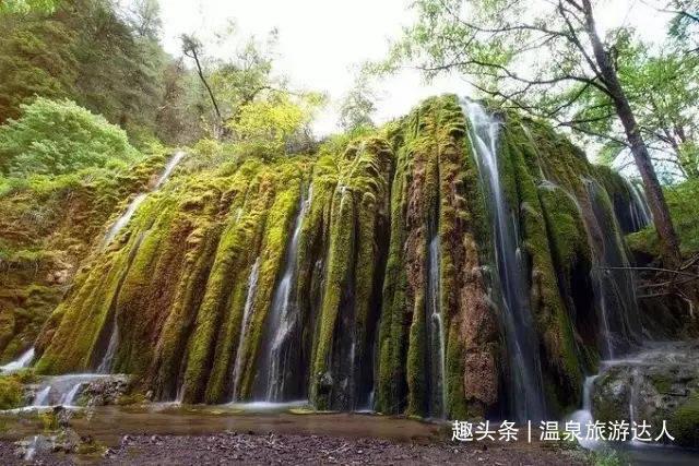现在西安的学生公交卡在什么地方办理,都要什么手续学生交通卡在什么地方办?-发现更广阔的知识星球